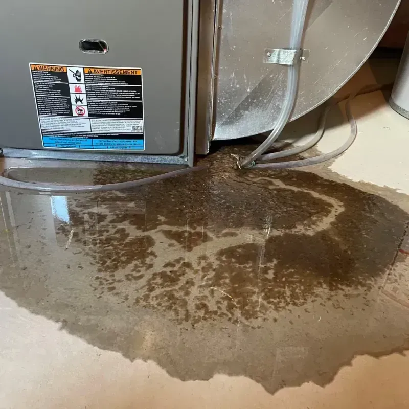 Appliance Leak Cleanup in Mecklenburg County, VA